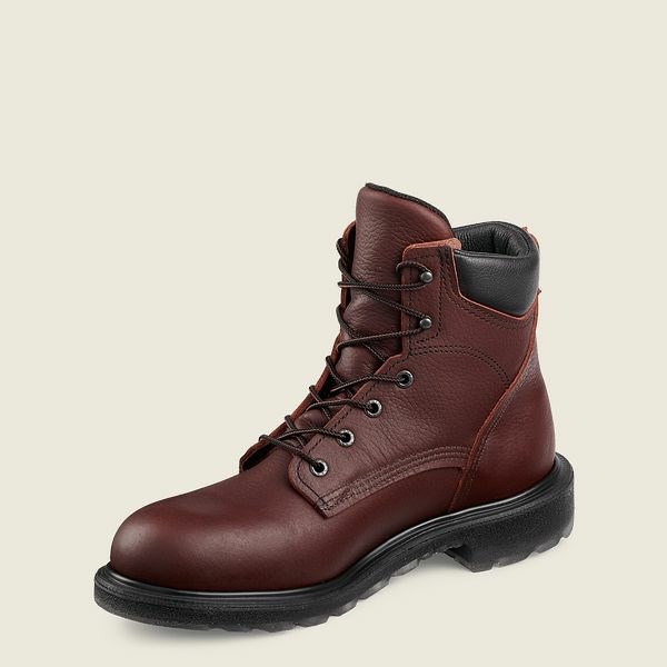 Men's Red Wing SuperSole 2.0 6-inch Safety Toe Boot Work Boots Brown | NZ2187QJP
