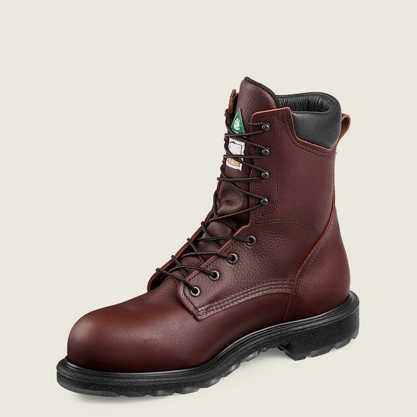 Men's Red Wing SuperSole 2.0 8-inch CSA Safety Toe Boot Work Boots Brown | NZ6495WMX