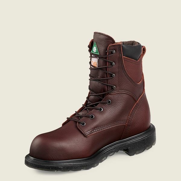 Men's Red Wing SuperSole 2.0 8-inch Insulated, Waterproof CSA Safety Toe Boot Work Boots Brown | NZ0691AGE