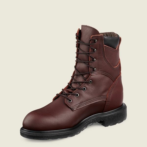 Men's Red Wing SuperSole 2.0 8-inch Insulated, Waterproof Soft Toe Boot Work Boots Brown | NZ6158RFT