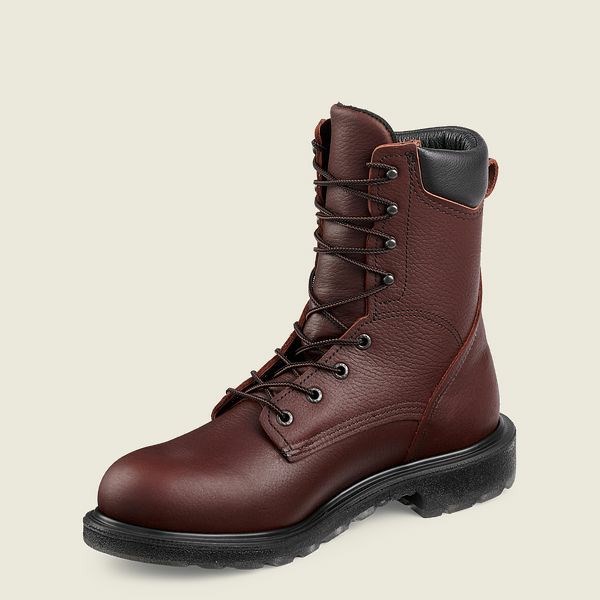 Men's Red Wing SuperSole 2.0 8-inch Safety Toe Boot Work Boots Brown | NZ0659OCK