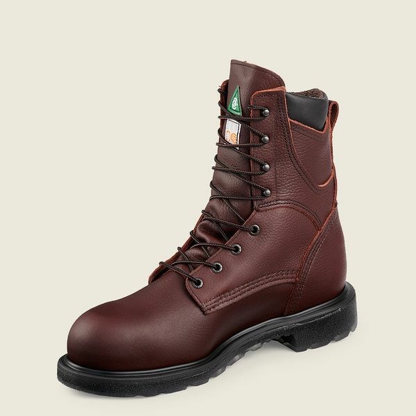 Men's Red Wing SuperSole 2.0 8-inch Waterproof CSA Safety Toe Boot Work Boots Brown | NZ6341CUT