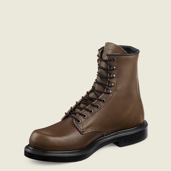 Men's Red Wing SuperSole 8-inch Soft Toe Boot Work Boots Brown | NZ2945WYQ