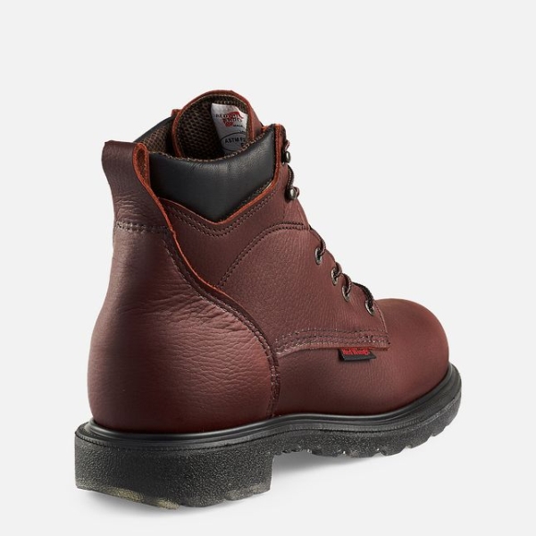 Men's Red Wing Supersole® 2.0 6-inch Waterproof Work Boots Brown | NZ5790BPN