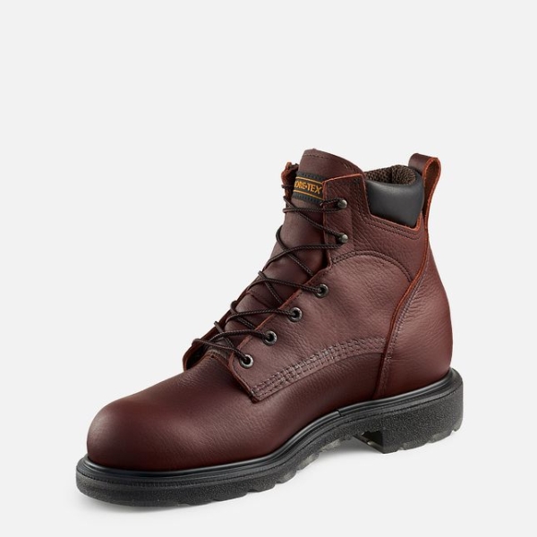 Men's Red Wing Supersole® 2.0 6-inch Waterproof Work Boots Brown | NZ5790BPN