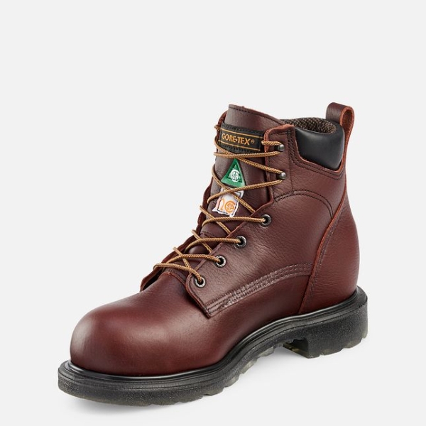 Men's Red Wing Supersole® 2.0 6-inch Waterproof CSA Work Shoes Brown | NZ7561ALD