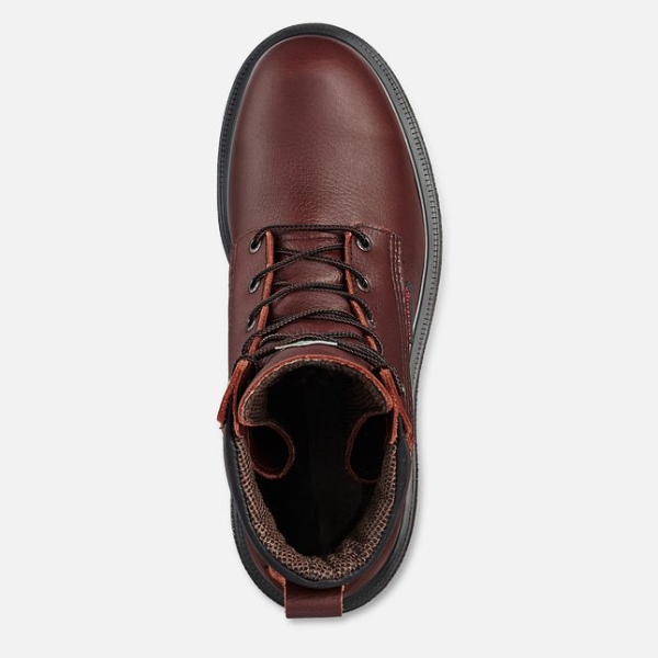 Men's Red Wing Supersole® 2.0 8-inch CSA Waterproof Shoes Brown | NZ1469DIQ