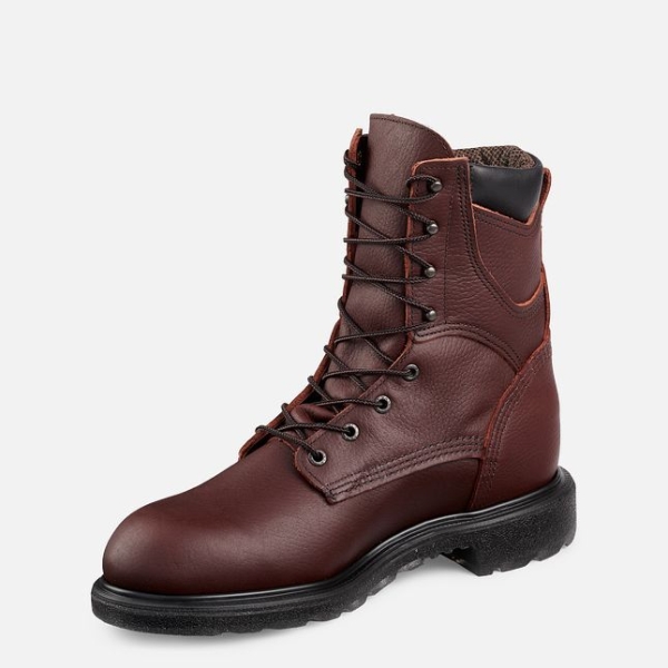 Men's Red Wing Supersole® 2.0 8-inch Insulated Waterproof Shoes Brown | NZ2097YXK