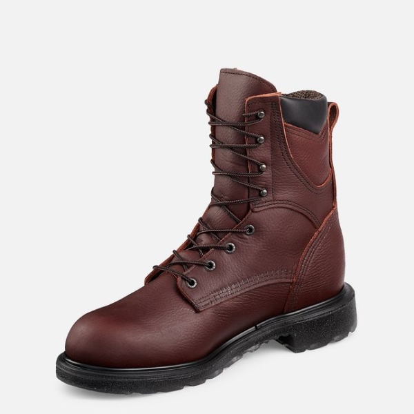 Men's Red Wing Supersole® 2.0 8-inch Waterproof Work Boots Brown | NZ0437AEP