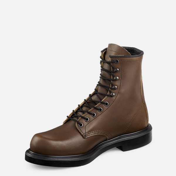 Men's Red Wing Supersole® 8-inch Work Boots Brown | NZ5281FXS