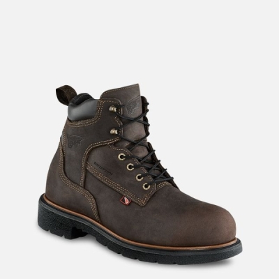 Men's Red Wing Dynaforce® 6-inch Insulated Waterproof Shoes Brown | NZ2437WLS
